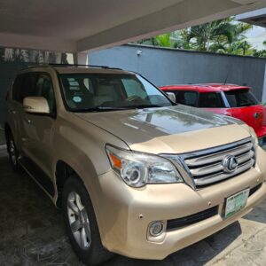 2010 Lexus GX460